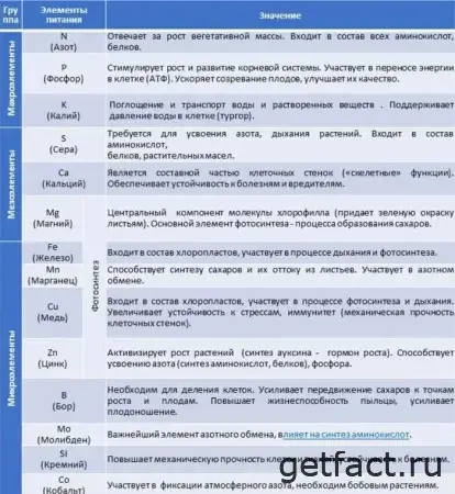 Перечень важнейших биогенов, без которых жизнь сложна