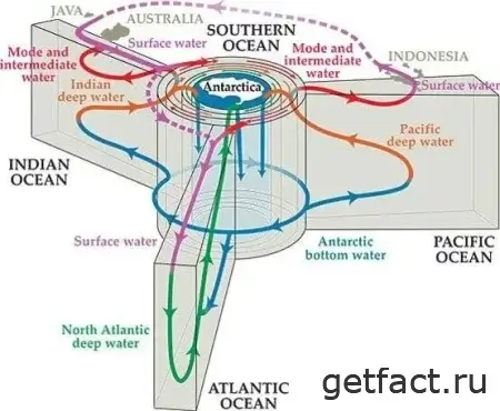 Схемы движения воды в мировом океане