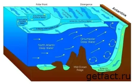 Схемы движения воды в мировом океане